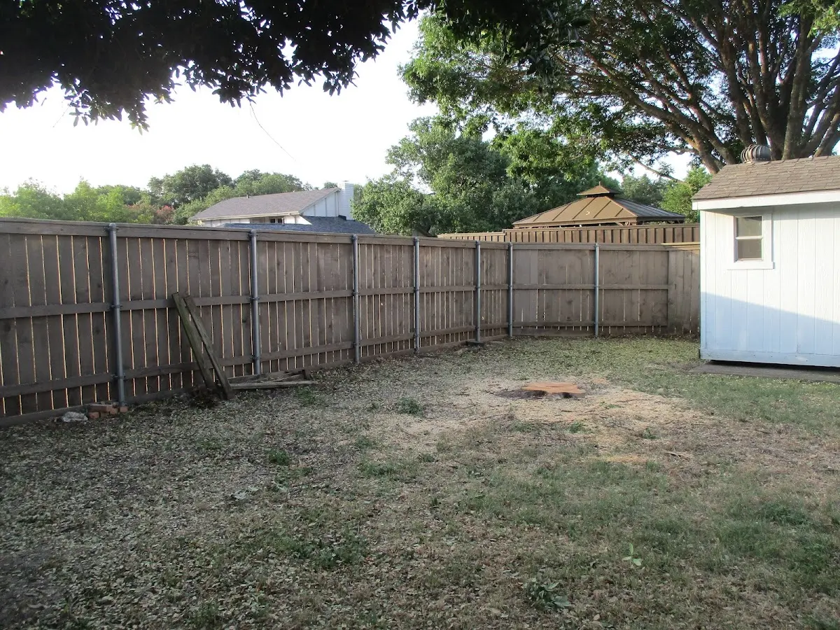 Cleared yard after professional tree removal in Raiford