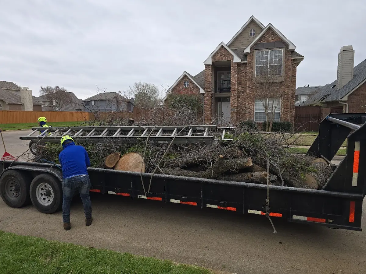 Expert Tree Pest Control with proper safety equipment in Raiford